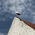 Krakowskie Mazury 아파트