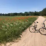 Krakowskie Mazury 아파트 *