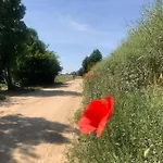 Krakowskie Mazury Gradzkie (Warmian-Masurian)