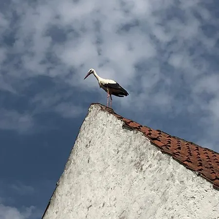 Krakowskie Mazury Apartmán