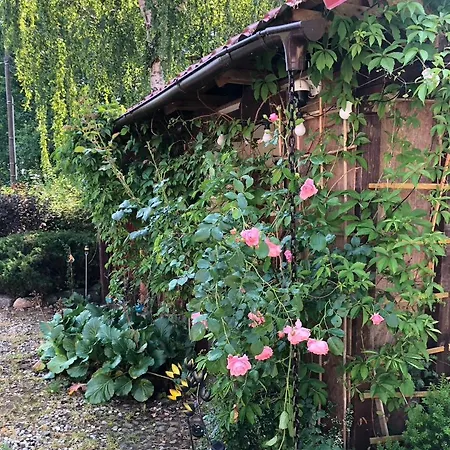 Krakowskie Mazury Apartmán Gradzkie (Warmian-Masurian)