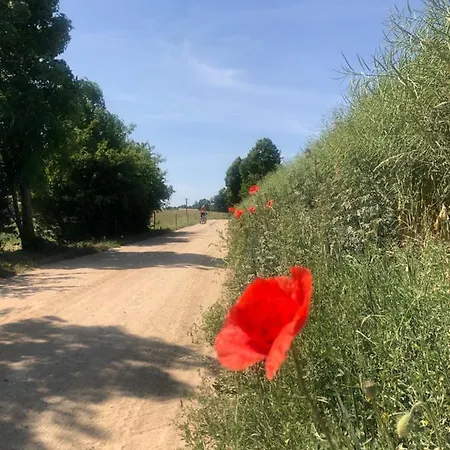 Krakowskie Mazury Gradzkie (Warmian-Masurian)